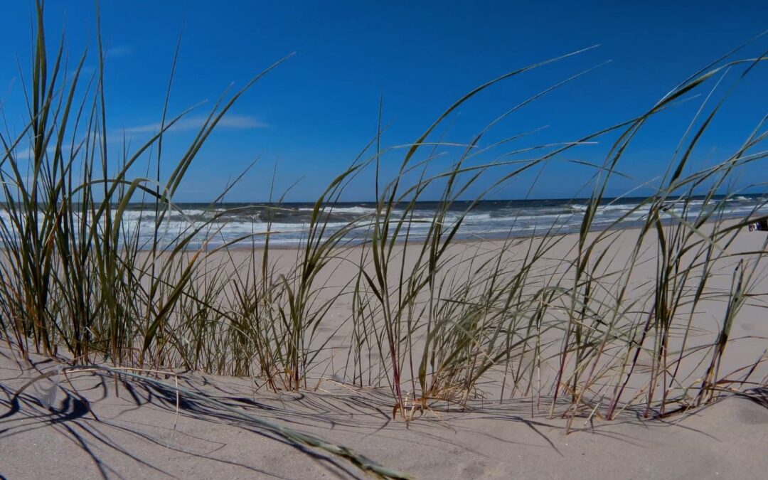 Entspanne Dich am Strand und lausche den Klängen der Natur