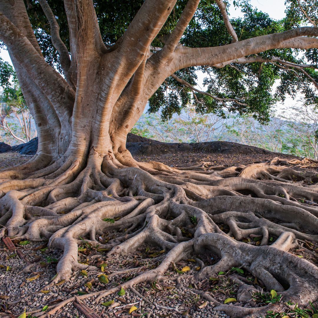 Impulse für Körper Geist und Seele – für Erwachsene und Kinder